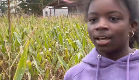 We Made a Scary Movie... in the Corn Maze